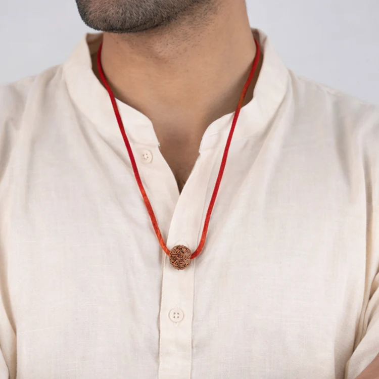 Nepal Origin 7 Mukhi Rudraksha - 17mm to 22mm - Image 3