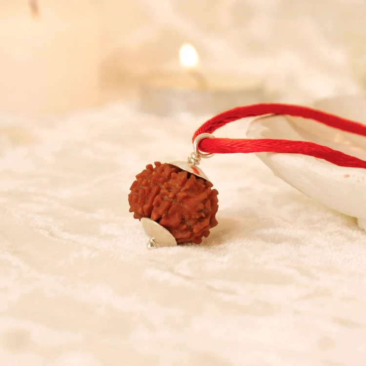 Nepal Origin 5 Mukhi Rudraksha - 17mm to 22mm - Image 3