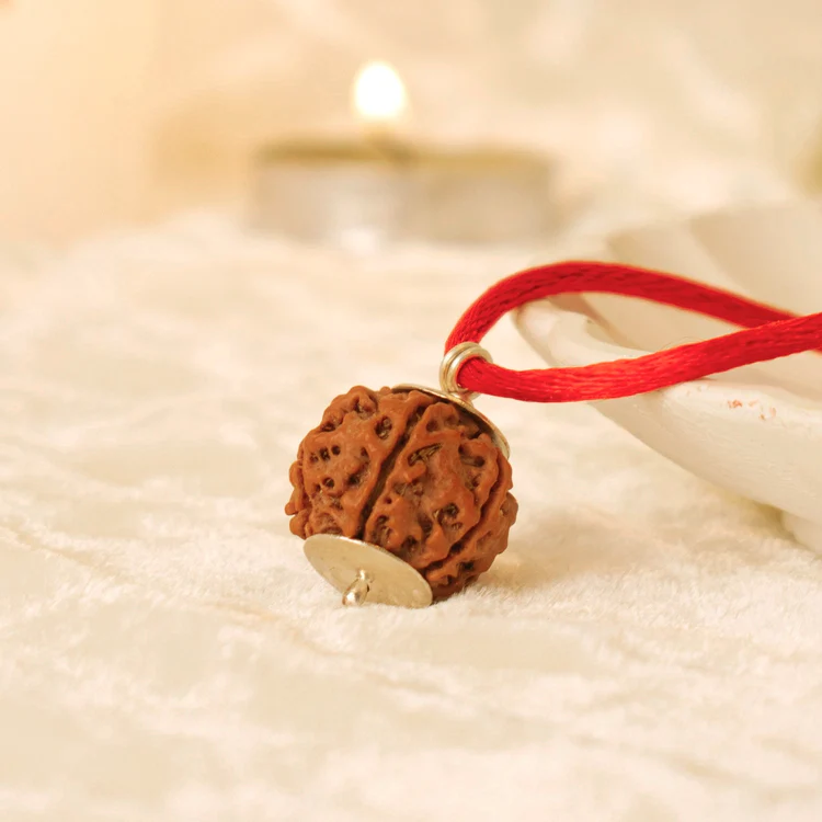 Nepal Origin 4 Mukhi Rudraksha - 17mm to 22mm - Image 3