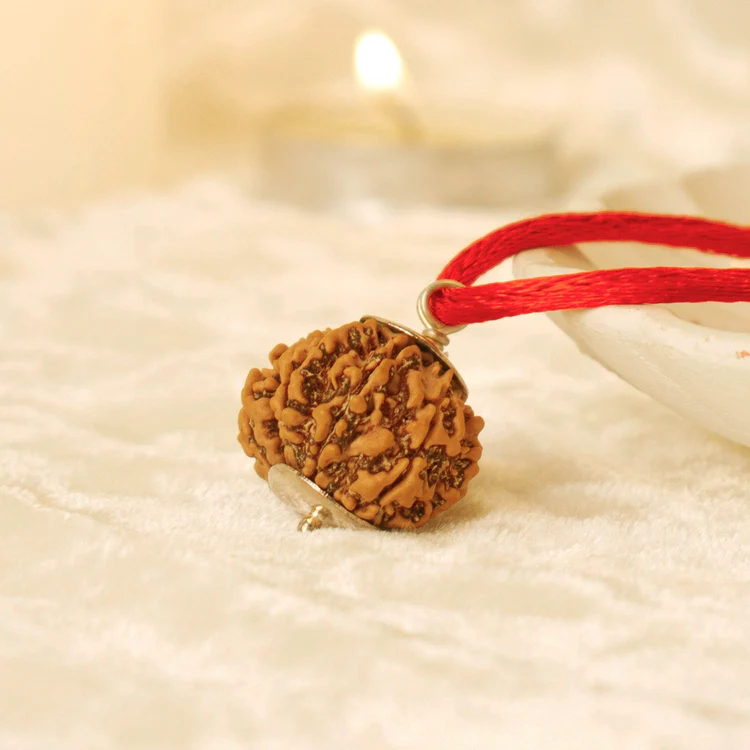 Nepal Origin 8 Mukhi Rudraksha - 17mm to 22mm - Image 3